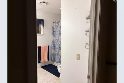 345 Marion Street, Batesburg, SC 29006 - Photo 11