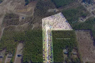 1379 Cheraw Rd, Cassatt, SC 29032 - Photo 3