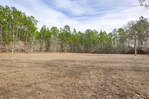 1133 Charles Town Rd, Leesville, SC 29070 - Photo 51