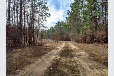 1133 Charles Town Road, Leesville, SC 29070 - Photo 3