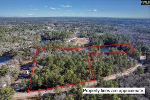 0000 Steele Rd, West Columbia, SC 29170 - Photo 1