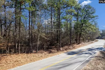 0000 Steele Road, West Columbia, SC 29170 - Photo 9