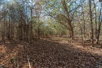 00 S Hwy 81 1, Calhoun Falls, SC 29628 - Photo 27
