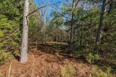 00 S Hwy 81 1, Calhoun Falls, SC 29628 - Photo 33