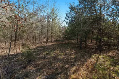 00 S Hwy 81 1, Calhoun Falls, SC 29628 - Photo 31