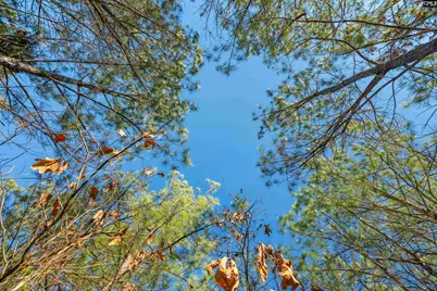 000 S Hwy 81 4, Calhoun Falls, SC 29628 - Photo 29