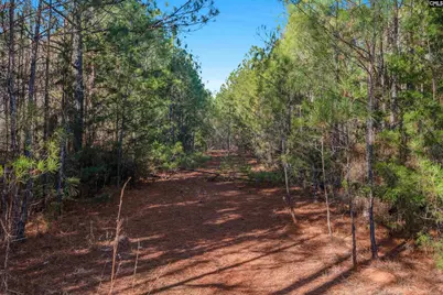 000 S Hwy 81 4, Calhoun Falls, SC 29628 - Photo 11