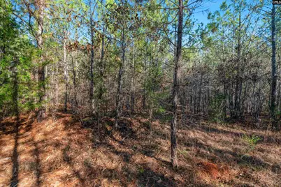 000 S Hwy 81 4, Calhoun Falls, SC 29628 - Photo 9