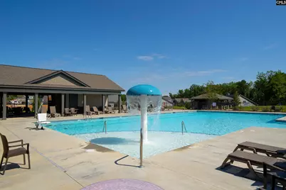 28 Starry Night Court, Chapin, SC 29036 - Photo 25