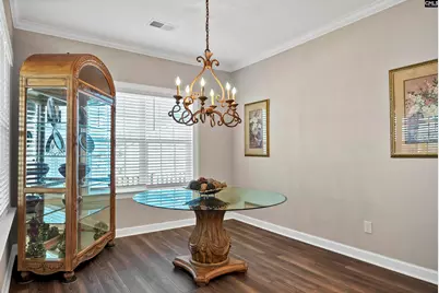28 Starry Night Court, Chapin, SC 29036 - Photo 7