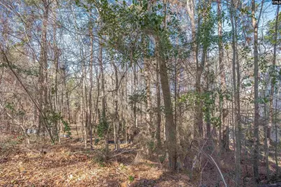 220 Waterville Drive, Columbia, SC 29229 - Photo 23