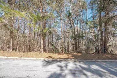 220 Waterville Drive, Columbia, SC 29229 - Photo 21