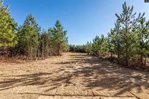 747 Old Stagecoach Rd, Camden, SC 29020 - Photo 3