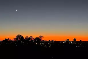 1825 St Julian Pl 12F, Columbia, SC 29204 - Photo 37