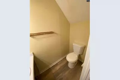 161 Leila Lane, Columbia, SC 29223 - Photo 5