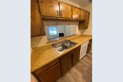 161 Leila Lane, Columbia, SC 29223 - Photo 9