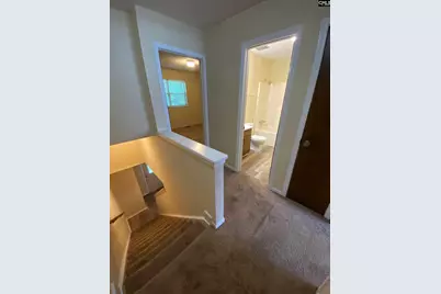 161 Leila Lane, Columbia, SC 29223 - Photo 11