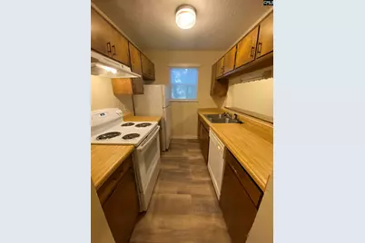 161 Leila Lane, Columbia, SC 29223 - Photo 7