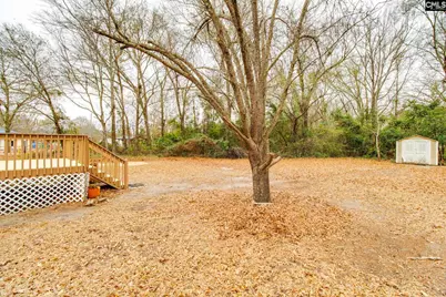 1003 N Firetower Road, Blythewood, SC 29016 - Photo 27