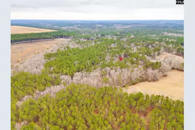 2191 Smallwood Road, Ridgeway, SC 29130 - Photo 45