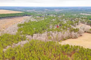 2191 Smallwood Rd, Ridgeway, SC 29130 - Photo 45