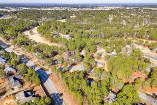 100 Valhalla Dr, Columbia, SC 29229 - Photo 39