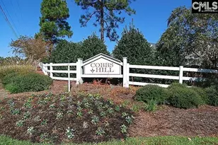 158 Flinchum Pl, Lexington, SC 29073 - Photo 29