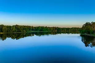 216 White Torpedo Wy, Lexington, SC 29072 - Photo 57