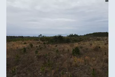 Tract 1 Park Road #1, Cassatt, SC 29032 - Photo 3