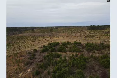 Tract 22 Holland Lane #22, Camden, SC 29020 - Photo 7