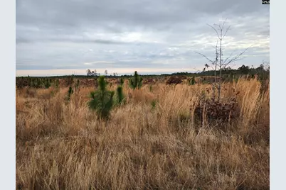 Tract 20 Holland Road, Camden, SC 29020 - Photo 3