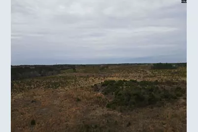 Tract 14 Holland Lane #14, Camden, SC 29020 - Photo 5