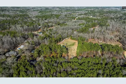 169 Lake Tide Drive, Chapin, SC 29036 - Photo 57