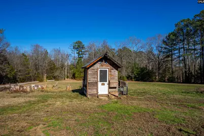 169 Lake Tide Drive, Chapin, SC 29036 - Photo 11
