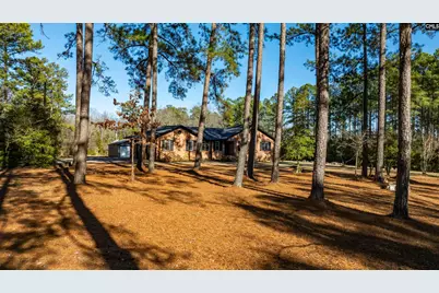 169 Lake Tide Drive, Chapin, SC 29036 - Photo 51