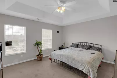 321 Concord Place Road, Irmo, SC 29063 - Photo 13