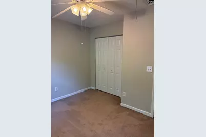 321 Concord Place Road, Irmo, SC 29063 - Photo 19