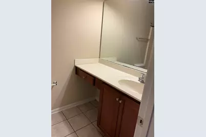 123 Tybo Drive, Lexington, SC 29072 - Photo 13