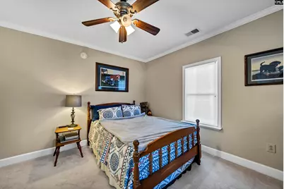 124 Peak Street, Chapin, SC 29036 - Photo 23