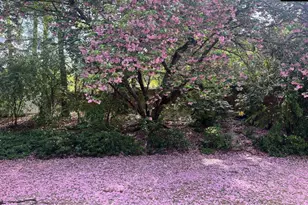 3800 Kilbourne Hill Rd, Columbia, SC 29205 - Photo 75