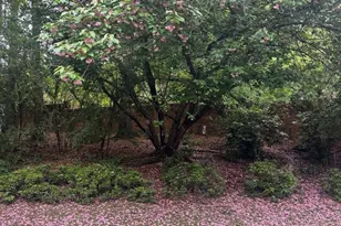 3800 Kilbourne Hill Rd, Columbia, SC 29205 - Photo 73