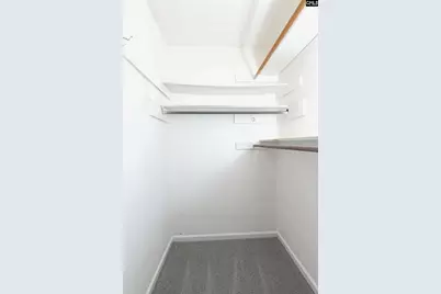 407 Chadford Road, Irmo, SC 29063 - Photo 45