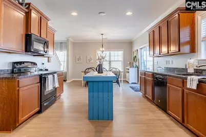 233 Jackstay Court, Chapin, SC 29036 - Photo 7