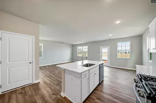 722 Ben Gunn Run, Gilbert, SC 29054 - Photo 9