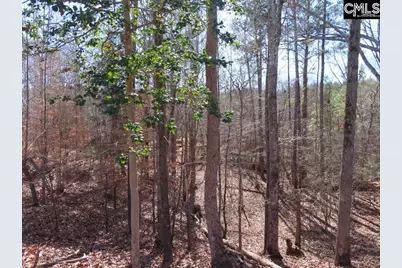 0 Cook Road, Ridgeway, SC 29130 - Photo 41