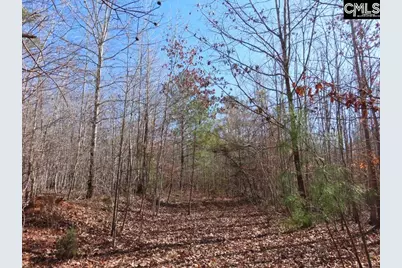 0 Cook Road, Ridgeway, SC 29130 - Photo 21