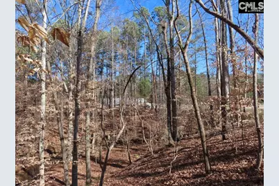 0 Cook Road, Ridgeway, SC 29130 - Photo 29