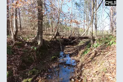 0 Cook Road, Ridgeway, SC 29130 - Photo 9