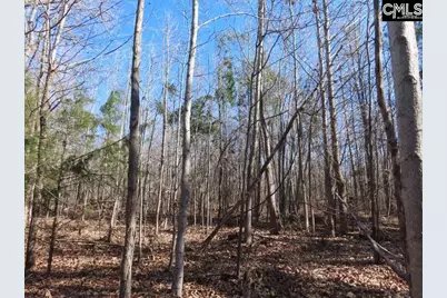 0 Cook Road, Ridgeway, SC 29130 - Photo 51