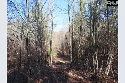0 Cook Road, Ridgeway, SC 29130 - Photo 27
